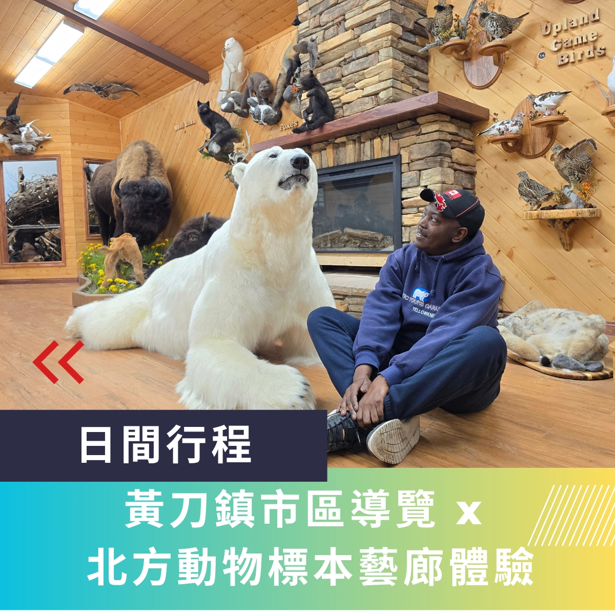 黃刀鎮市區遊北方動物標本藝廊